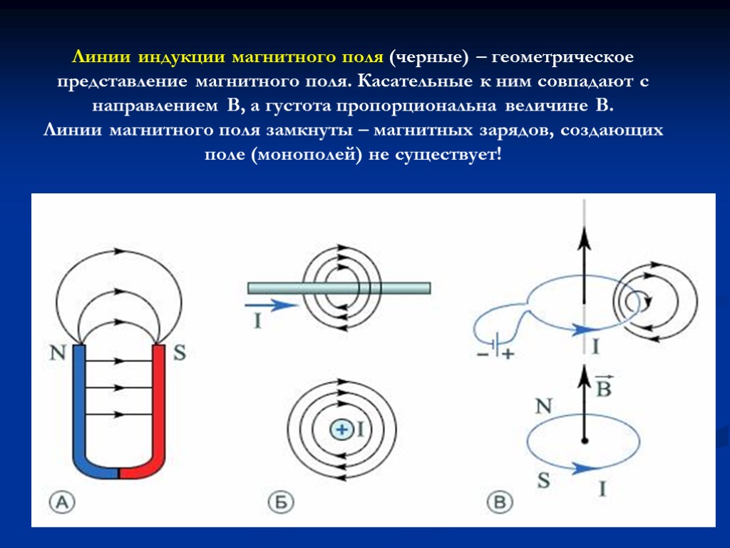 Линии индукции магнитного поля (черные) – геометрическое представление магнитного поля. Касательные к ним совпадают